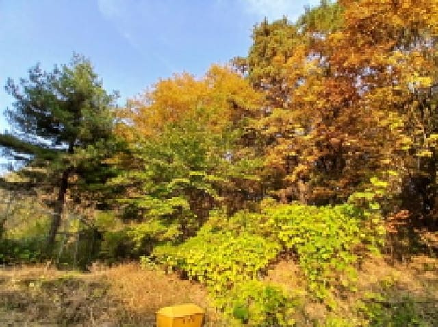 B000251202501300531352.jpg