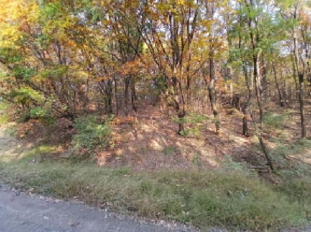 B000251202501300531353.jpg