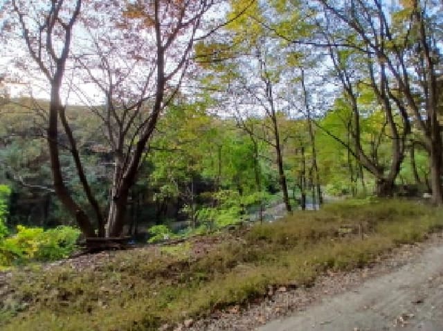 B000251202501300531354.jpg