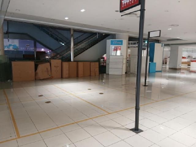 B000251202501300531374.jpg