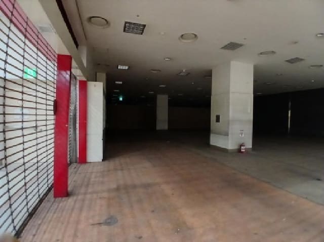 B000251202501300531732.jpg