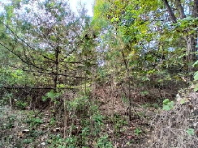 B000251202501300532591.jpg