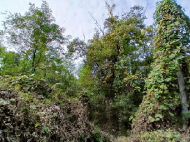 B000251202501300532592.jpg