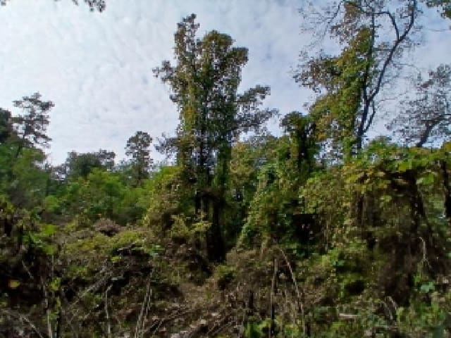 B000251202501300532593.jpg