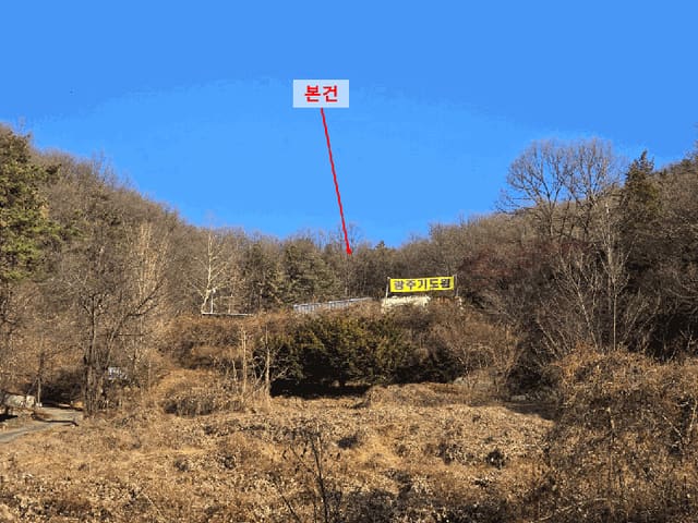 B000251202501300535384.jpg
