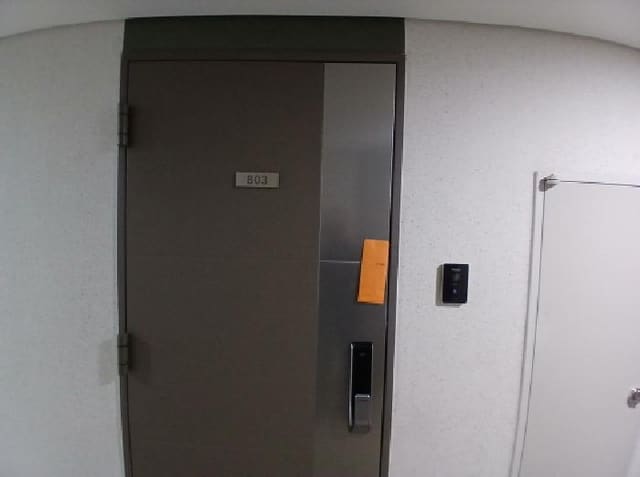 B000251202501300535853.jpg