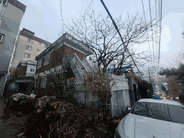 B000251202501300536694.jpg