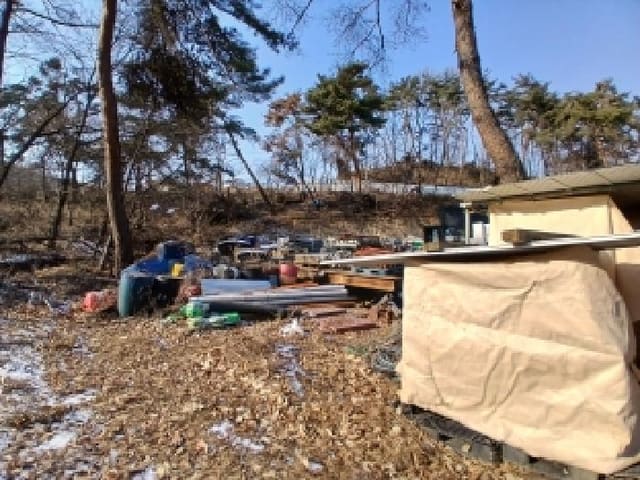 B000251202601300500542.jpg