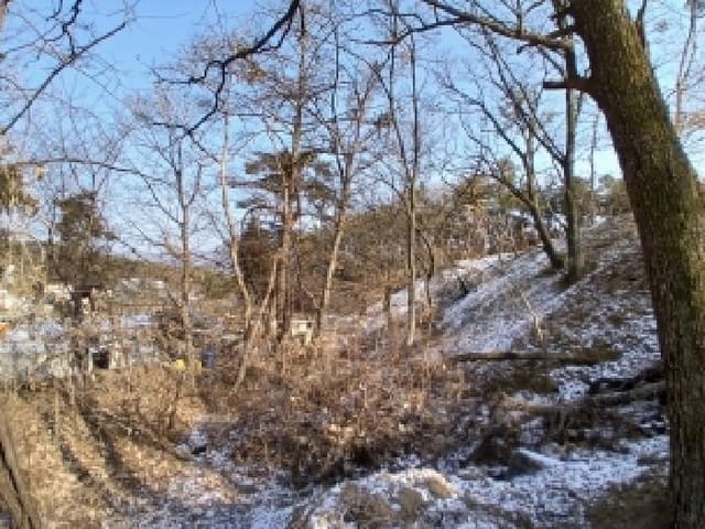 B000251202601300500541.jpg