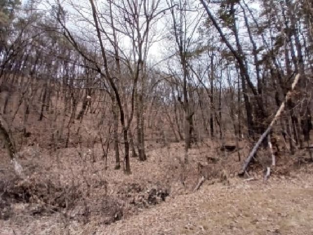 B000251202601300501884.jpg