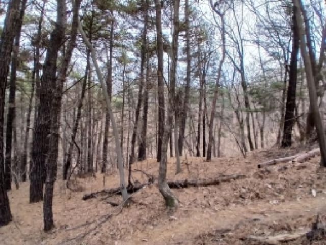 B000251202601300501882.jpg