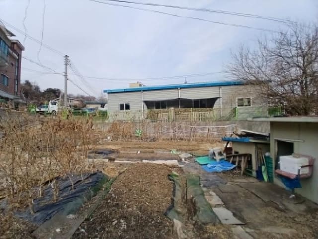 B000251202601300502571.jpg