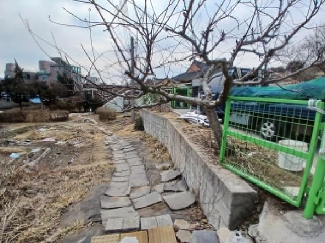 B000251202601300502574.jpg