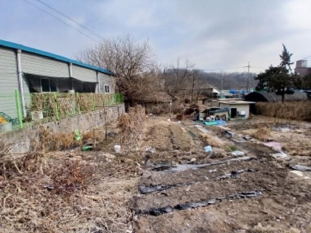 B000251202601300502572.jpg