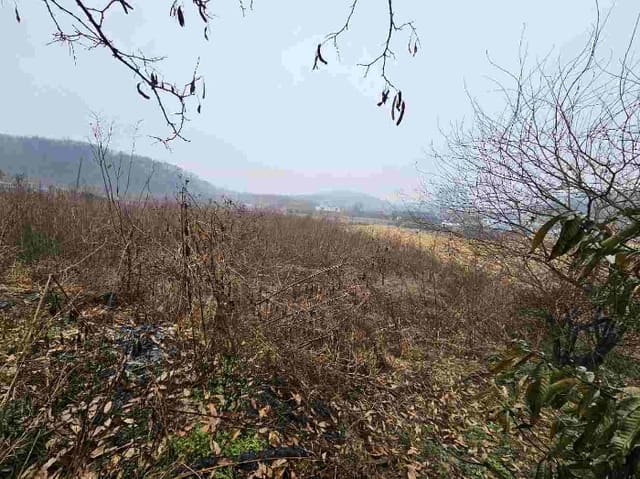 B000252202301300052624.jpg
