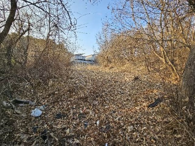 B000252202401300006771.jpg
