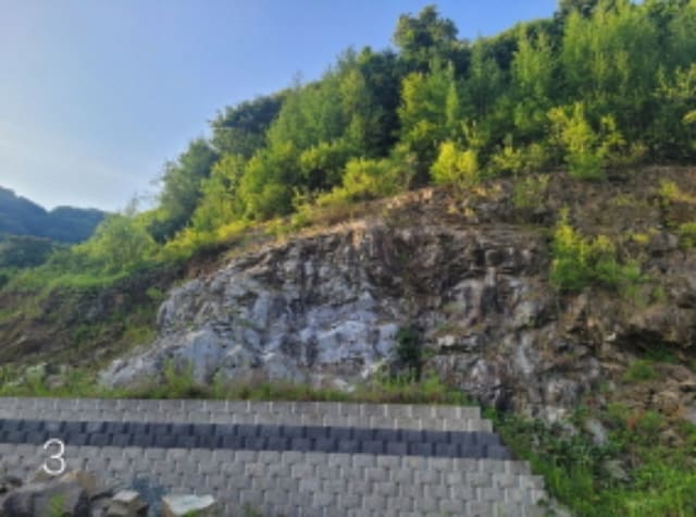 B000252202401300028573.jpg