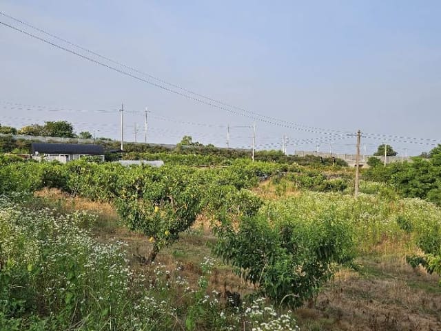 B000252202401300030653.jpg