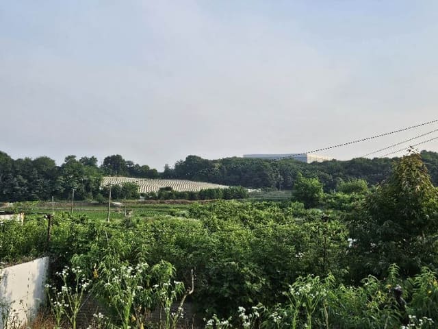 B000252202401300030651.jpg