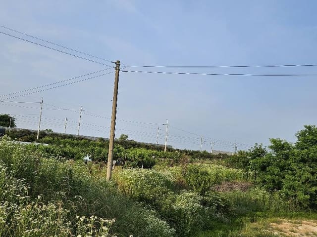 B000252202401300030652.jpg