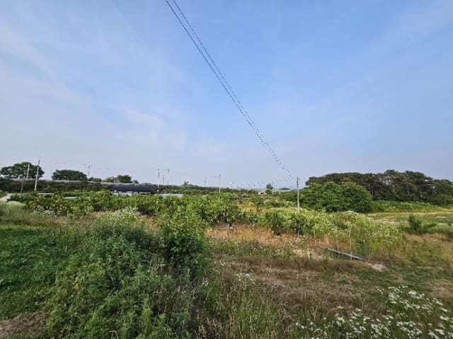 B000252202401300030654.jpg