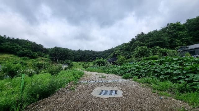 B000252202401300036692.jpg