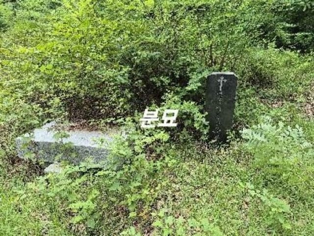 B000252202401300038741.jpg
