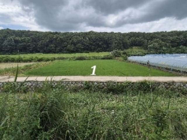 B000252202401300038742.jpg