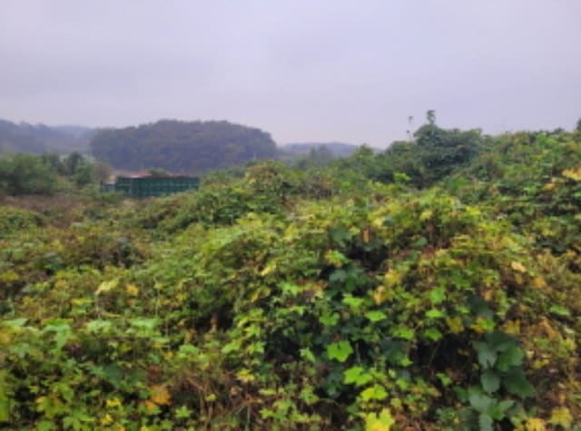 B000252202401300046171.jpg
