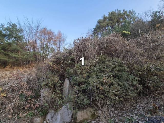 B000252202401300051914.jpg