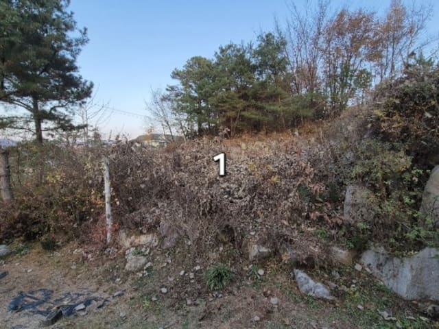 B000252202401300051913.jpg