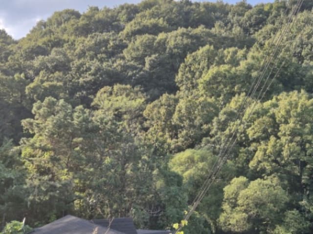 B000252202401300055111.jpg