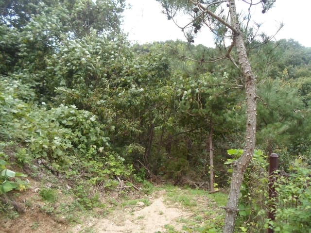 B000252202401300055114.jpg