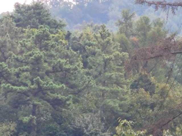 B000252202401300055351.jpg