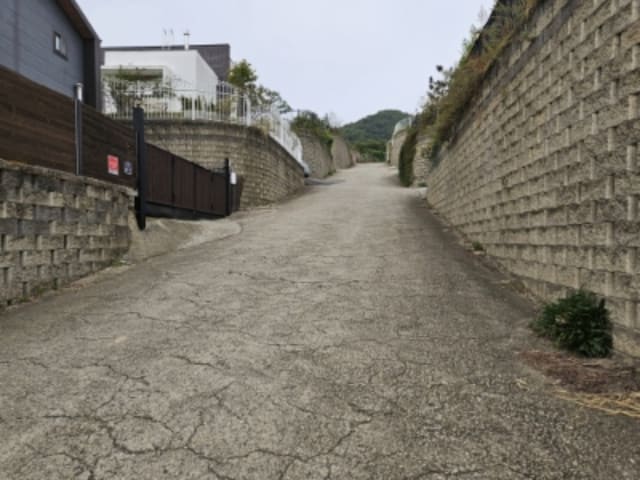 B000252202401300056343.jpg