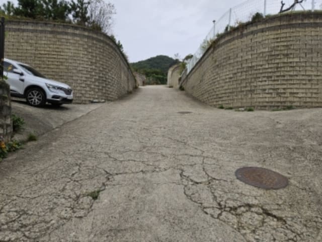 B000252202401300056344.jpg
