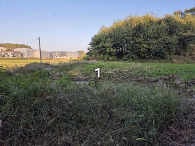 B000252202401300059484.jpg