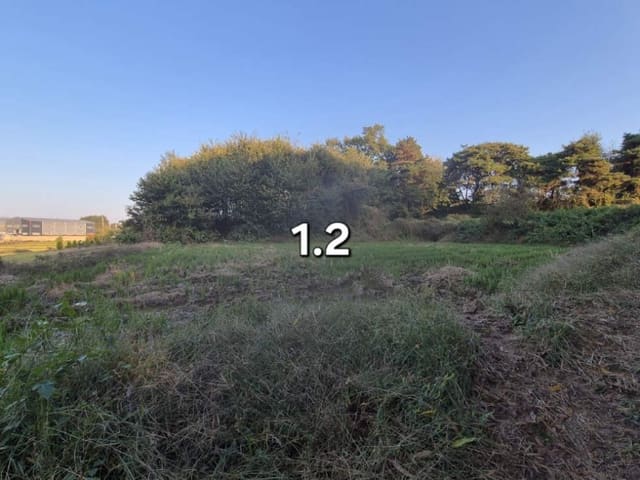 B000252202401300059483.jpg