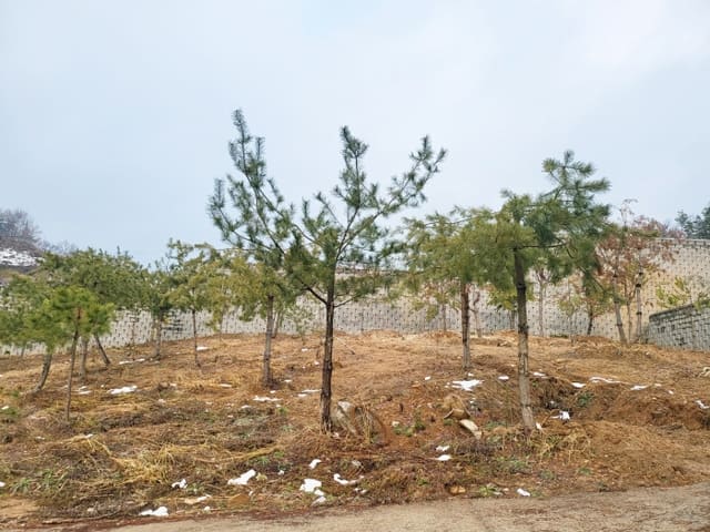 B000252202401300062174.jpg