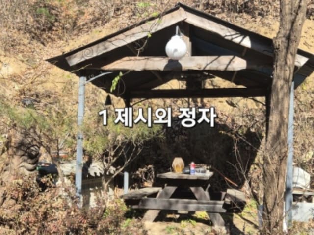 B000252202401300063303.jpg