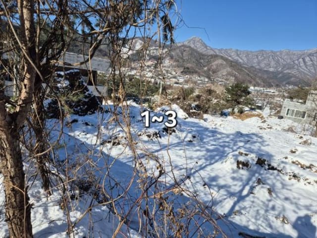 B000252202401300066824.jpg
