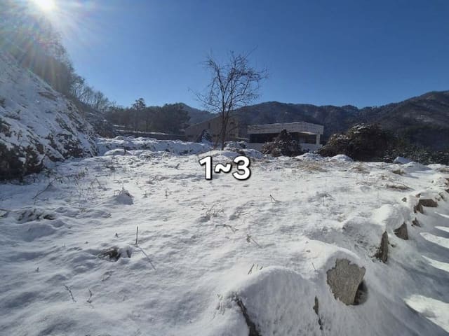 B000252202401300066821.jpg