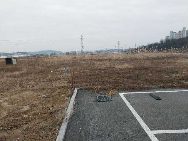 B000252202401300067674.jpg