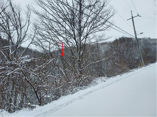 B000252202401300315414.jpg