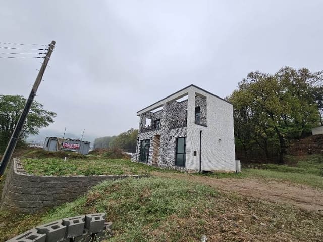 B000252202401300333252.jpg