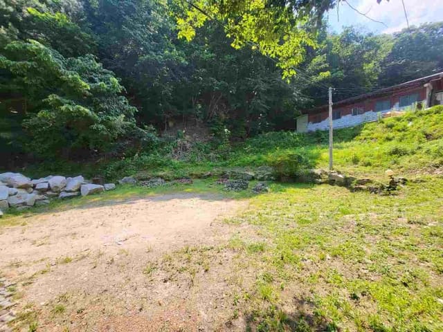 B000252202401300337833.jpg