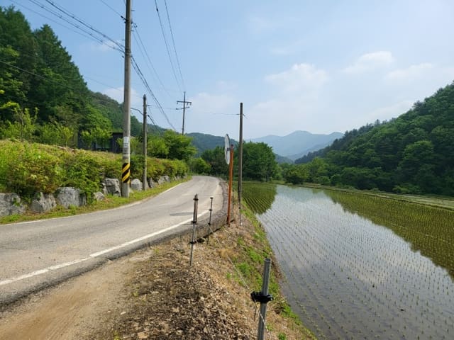 B000252202401300348784.jpg