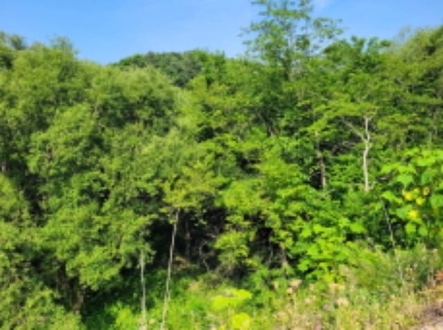 B000252202401300350001.jpg