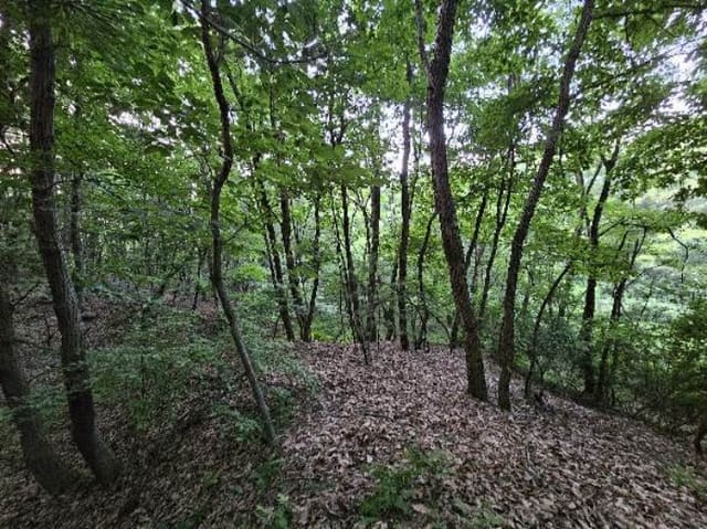 B000252202401300353522.jpg