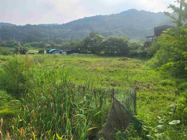 B000252202401300353831.jpg
